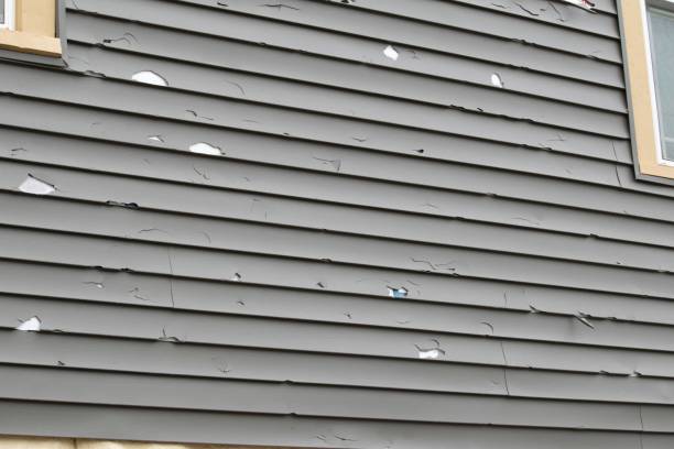 Devine, TX Siding Installation Company